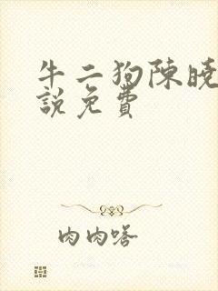 牛二狗陈晓燕小说免费封面