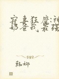 宠妻狂魔:神级奶爸我最强无弹窗