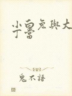 小白兔与大灰狼丁当