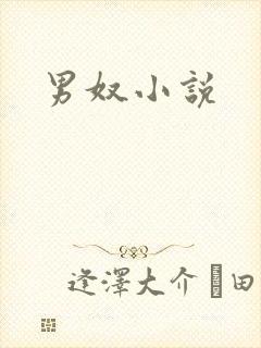 男奴小说