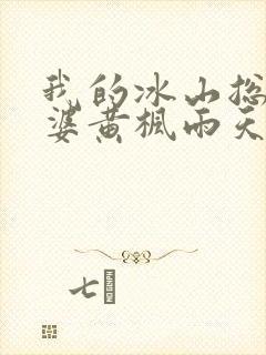 我的冰山总裁老婆黄枫雨天