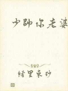 少帅你老婆