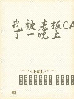 我被老板CAO了一晚上