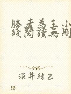 胜者为王小说在线阅读无删减