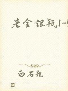 老金银瓶1-5封面