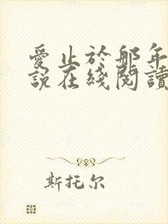 爱止于那年冬小说在线阅读