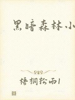 黑暗森林小说