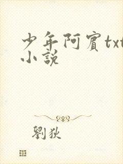 少年阿宾txt小说