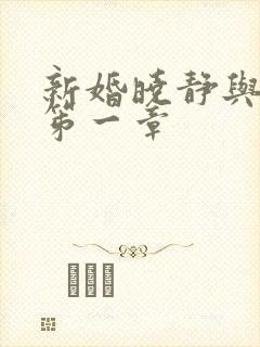新婚晓静与翁公笫一章封面