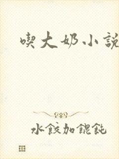 吃大奶小说