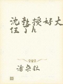 沈教授好大含不住了h