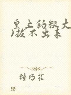 皇上的粗大(h)拔不出来封面
