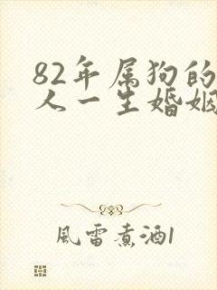 82年属狗的男人一生婚姻
