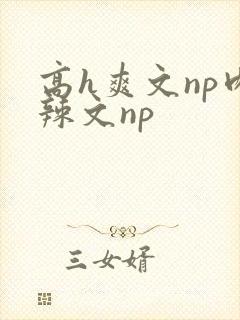 高h爽文np肉辣文np