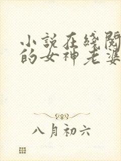 小说在线阅读我的女神老婆封面