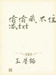 偷偷藏不住无删减txt