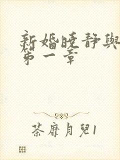 新婚晓静与翁公笫一章