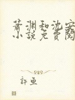萧渊和沈安安的小说免费阅读封面