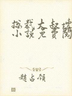 总裁大叔坏坏爱小说免费阅读