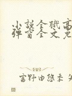 小说全职高手无弹窗全文免费阅读