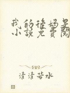 我的后妈是小姨小说免费阅读