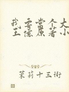 我要当个大坏蛋王亿原著小说免费