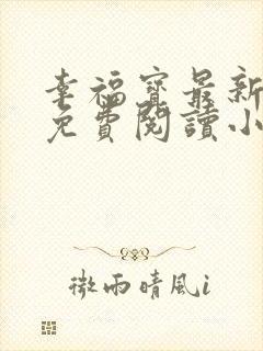 幸福宝最新章节免费阅读小说下载封面