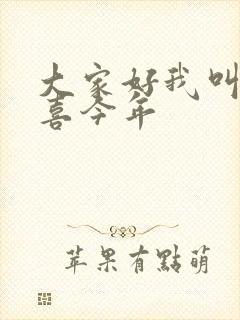 大家好我叫林小喜今年