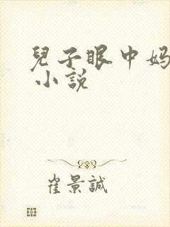 儿子眼中妈妈的 小说