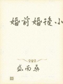 婚前婚后小说
