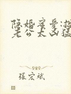 隐婚蜜爱:总裁老公太凶猛小说