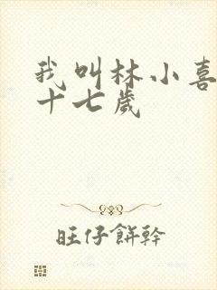 我叫林小喜今年十七岁