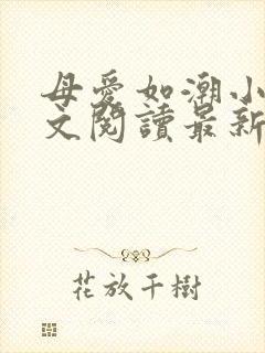 母爱如潮小说全文阅读最新章节更新封面