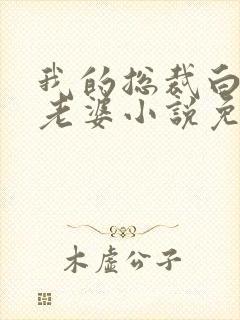 我的总裁白富美老婆小说免费读