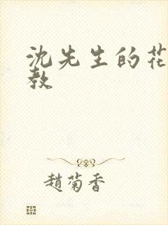 沈先生的花式调教