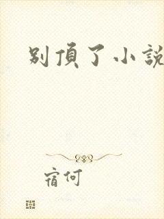 别顶了小说