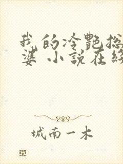 我的冷艳总裁老婆 小说在线阅读