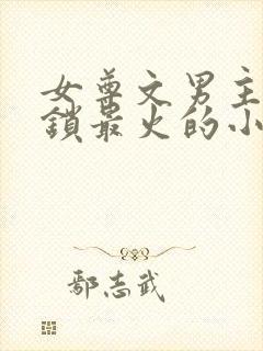 女尊文男主戴贞锁最火的小说封面