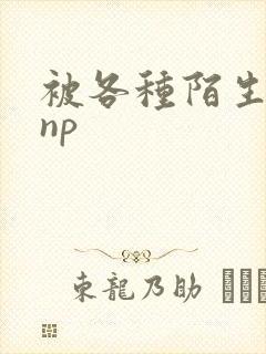 被各种陌生人 np封面