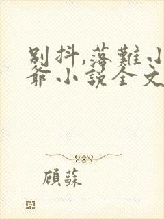 别抖,落难小少爷小说全文免费阅读