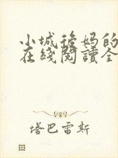 小城后妈的小说在线阅读全文封面