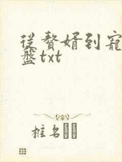 从赘婿到宠臣网盘txt