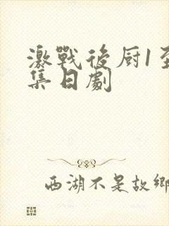 激战后厨1至5集日剧
