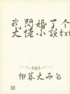 我闪婚了个财阀大佬小说txt