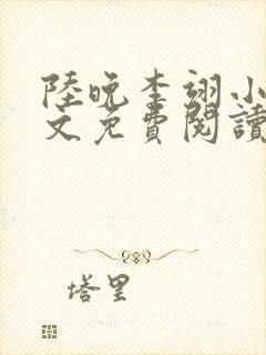 陆晚李翊小说全文免费阅读无弹窗