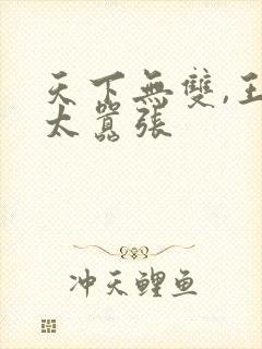 天下无双,王妃太嚣张封面