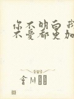 你不明白 我说不爱都更加爱