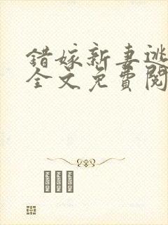 错嫁新妻逃了婚全文免费阅读