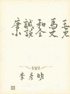 唐诚和马玉婷的小说全文免费封面