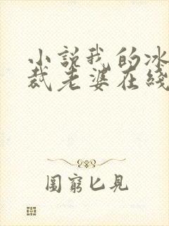 小说我的冰山总裁老婆在线阅读